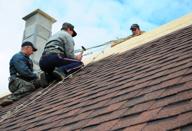 Roofing Contractor